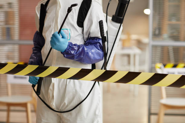 Professional Sewage Cleanup technician working in Bakersfield, CA